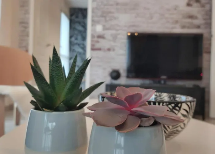 Apartamento Le Mans'art *