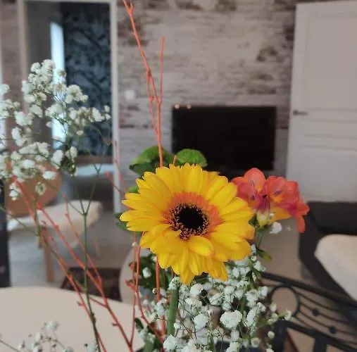 Le Mans'art Διαμέρισμα Ντιζόν